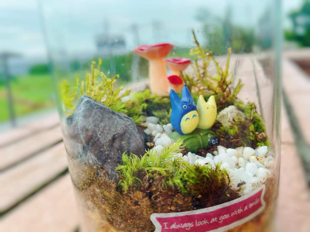 微景觀生態瓶～連續潮濕一週了🌧☔️