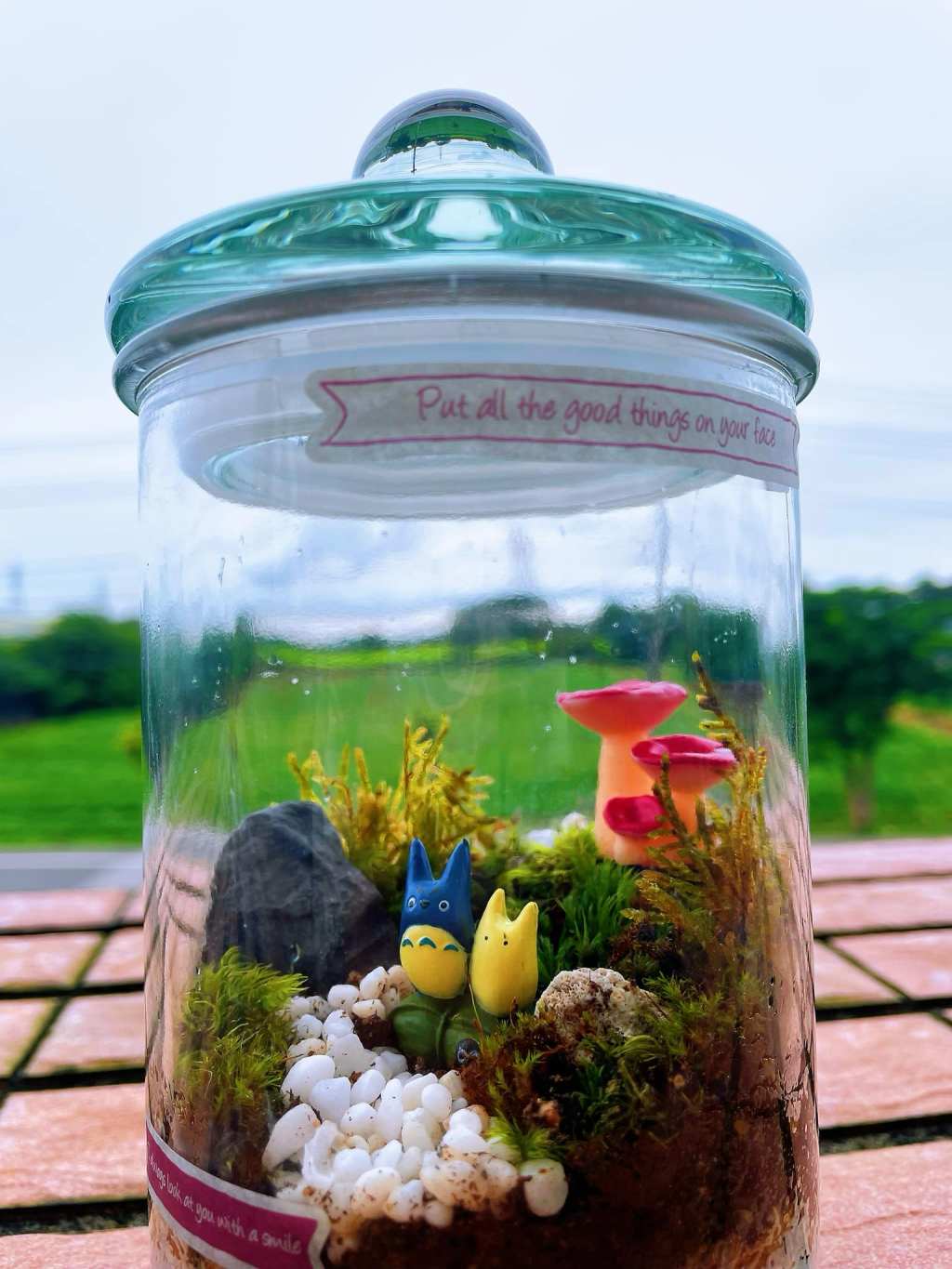 哇！好療癒❤️