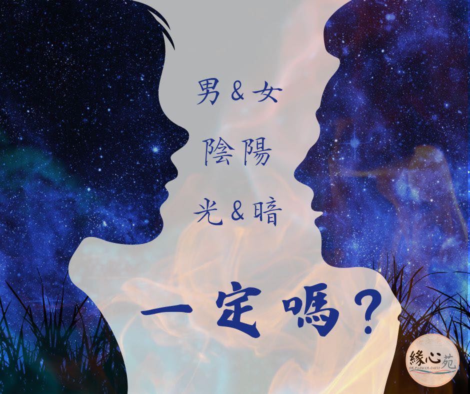 男與女、陰與陽、光與暗，有那麼一定嗎？👁