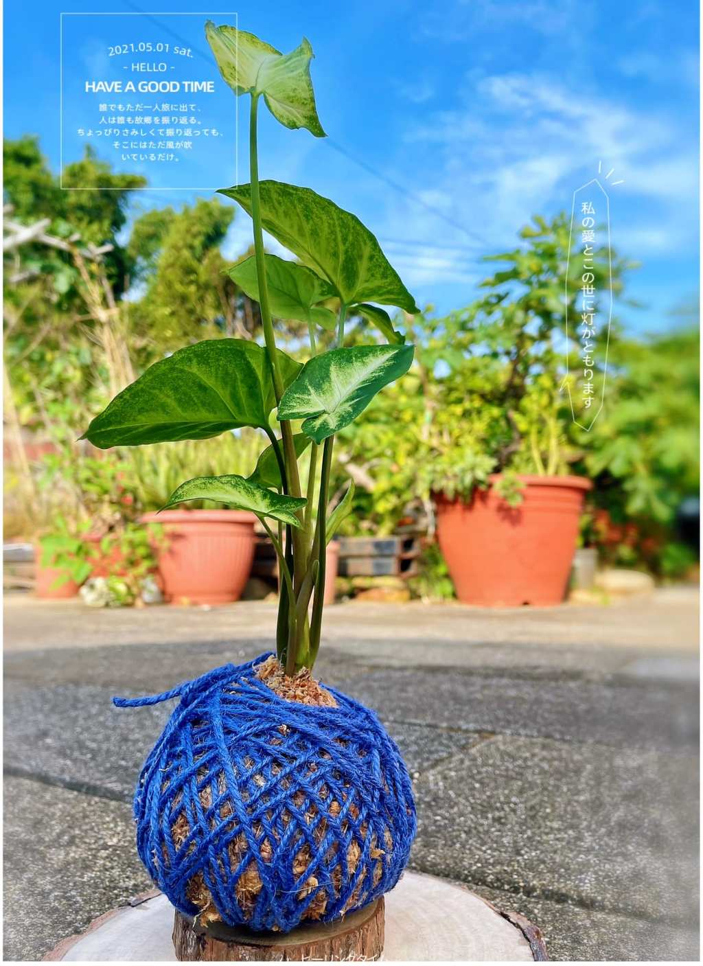 歡樂上午3小時😊