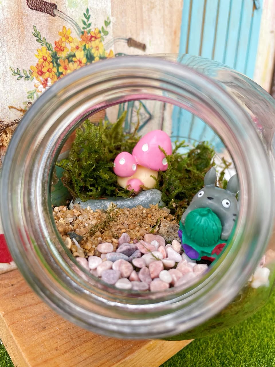 不同的瓶子做微景觀玻璃生態瓶🫙