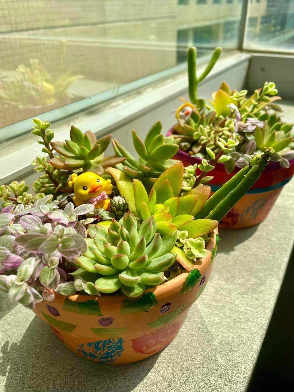 「樹葉拓印怎麼畫都好看」🍂