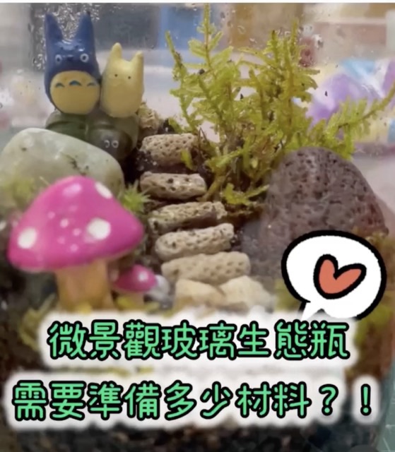 微景觀玻璃生態瓶需要準備多少材料？😲