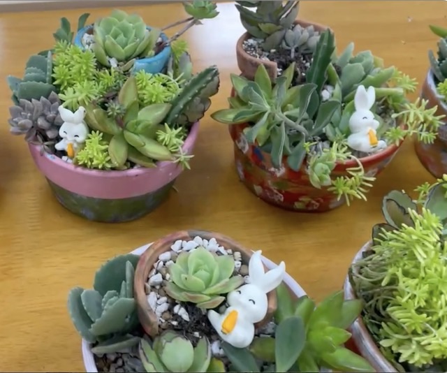 大家的作品都好美😻