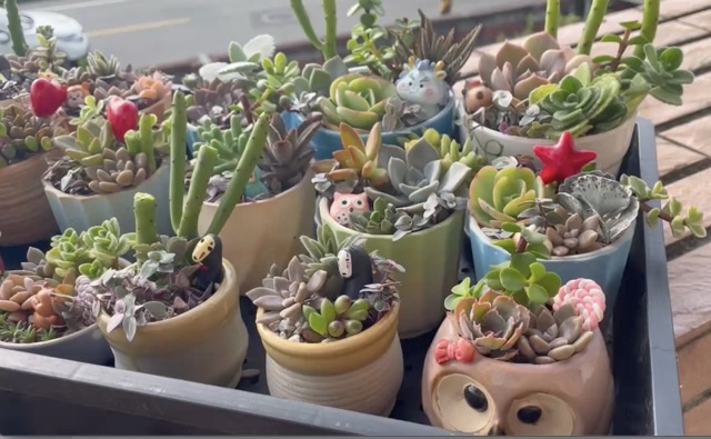 2024社大最後一堂課🎁