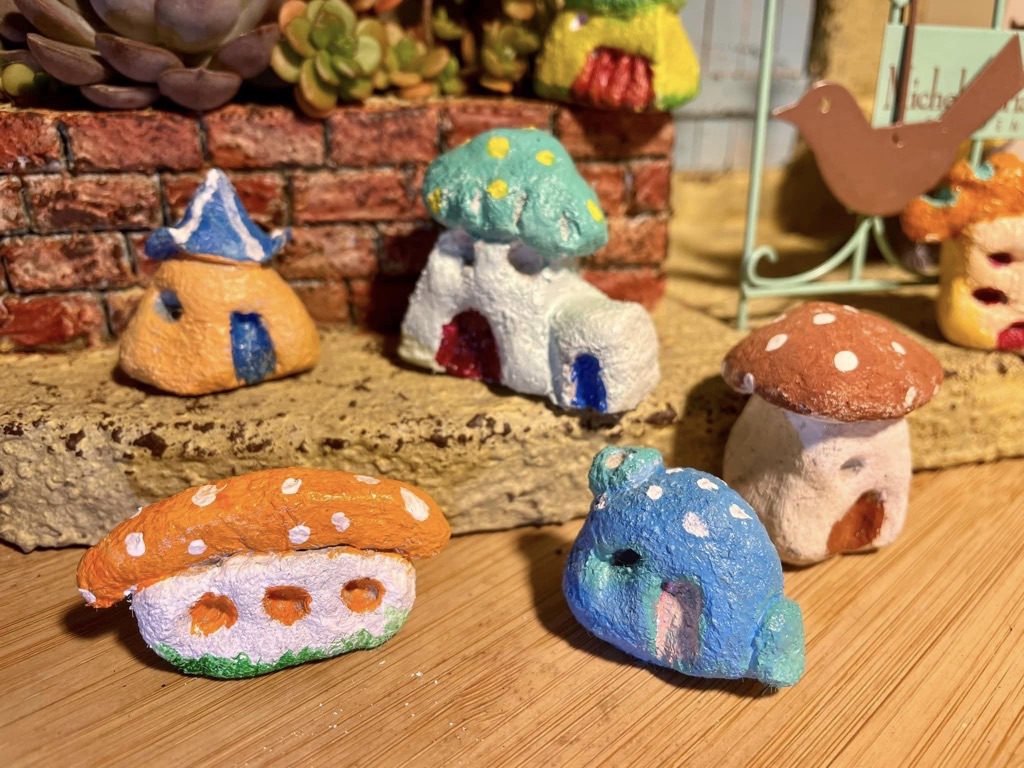 🎉粉絲專頁破600人🎉