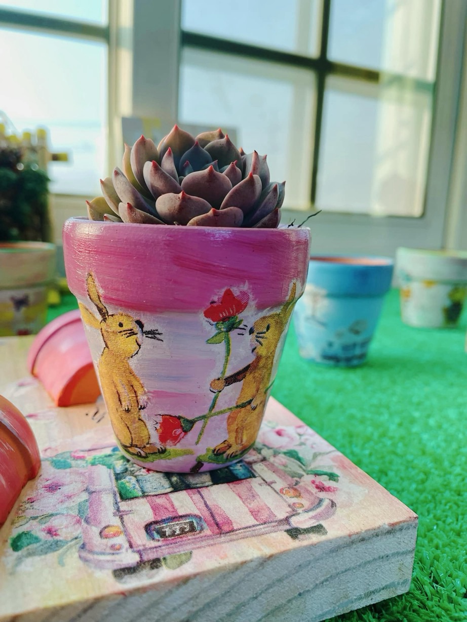 🐰小兔子：請跟我做朋友吧～