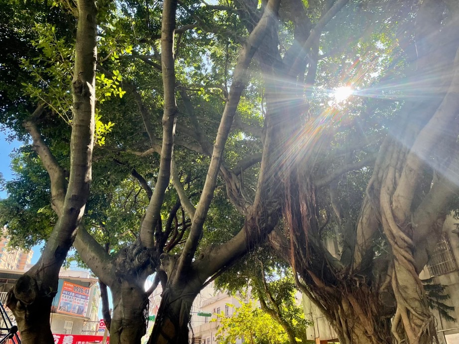 「小姐，妳好瀟灑、自得其樂」😇