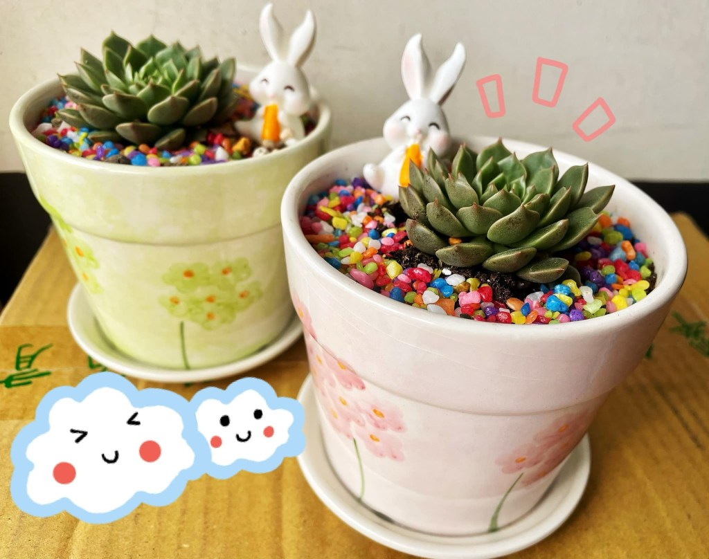 巧～卡哇伊‼️療癒感爆表😍