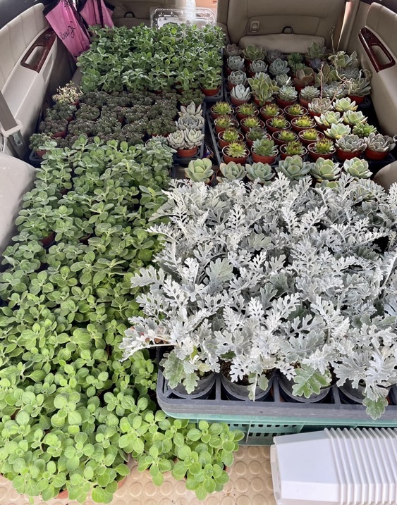 🌞🌞今天天氣真好🌞🌞