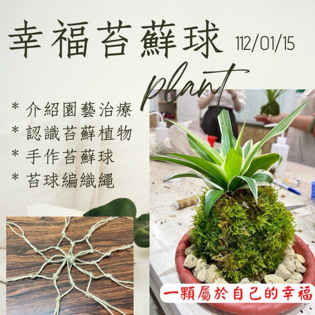 ❤️幸福苔蘚球❤️