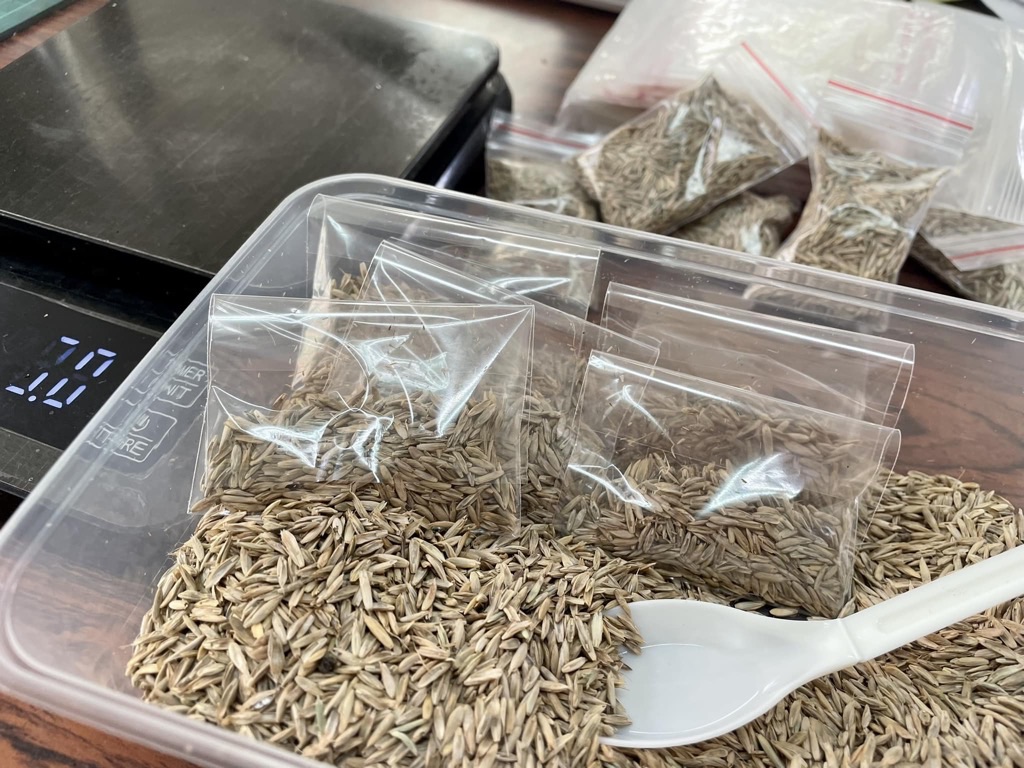 每開新班級都是一項大挑戰💪