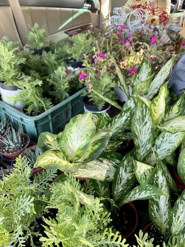 天啊…我的腰🥵