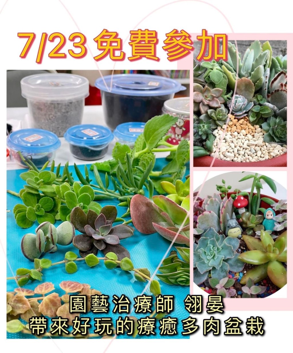 【好康分享】免費療癒多肉盆栽帶回家🌈