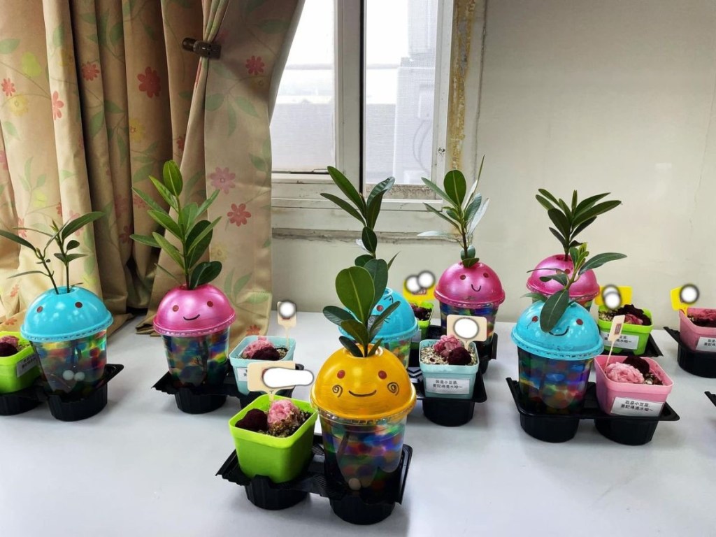神奇園藝治療-貿貿的故事⭐️