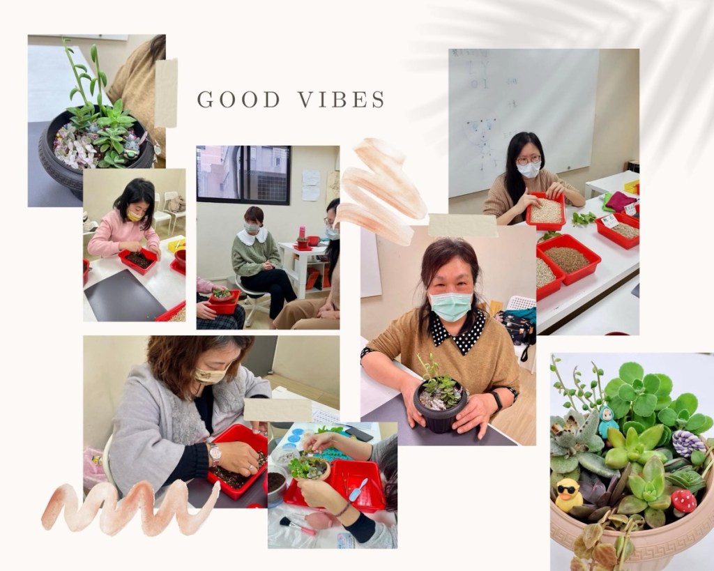 每個人的花園都是獨一無二🌈