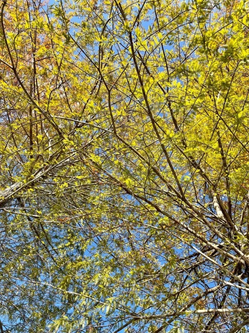 生命中不時會出現不順遂的時候🐟