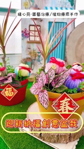 🌿花花老師的教室🌿迎春納福創意盆栽