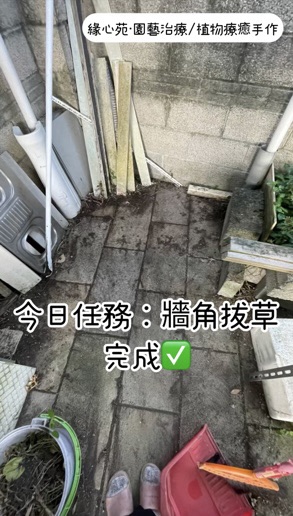 拔啊～拔啊～拔不完～