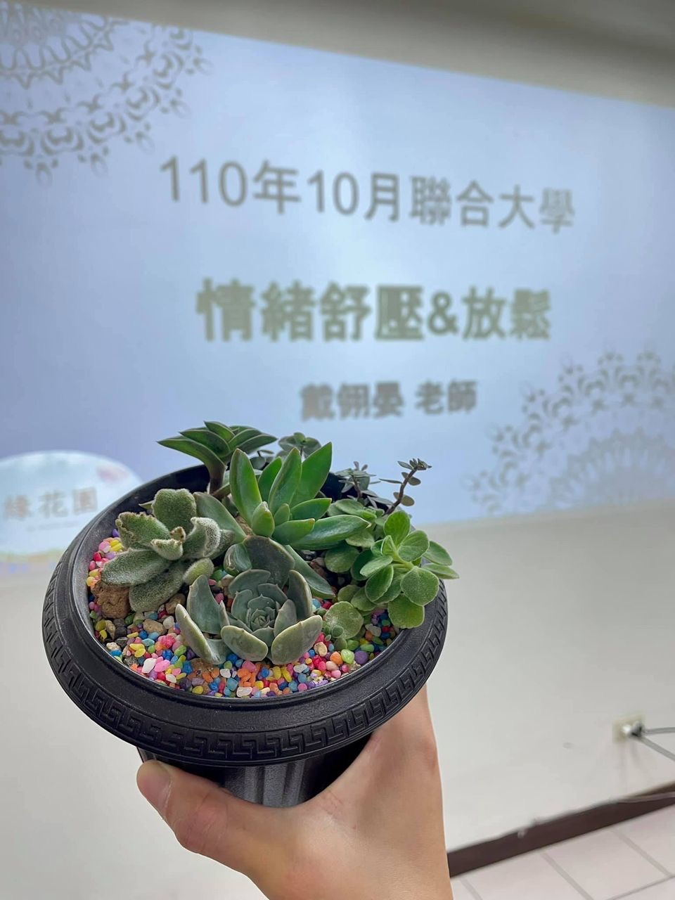 持續性的療癒🍀