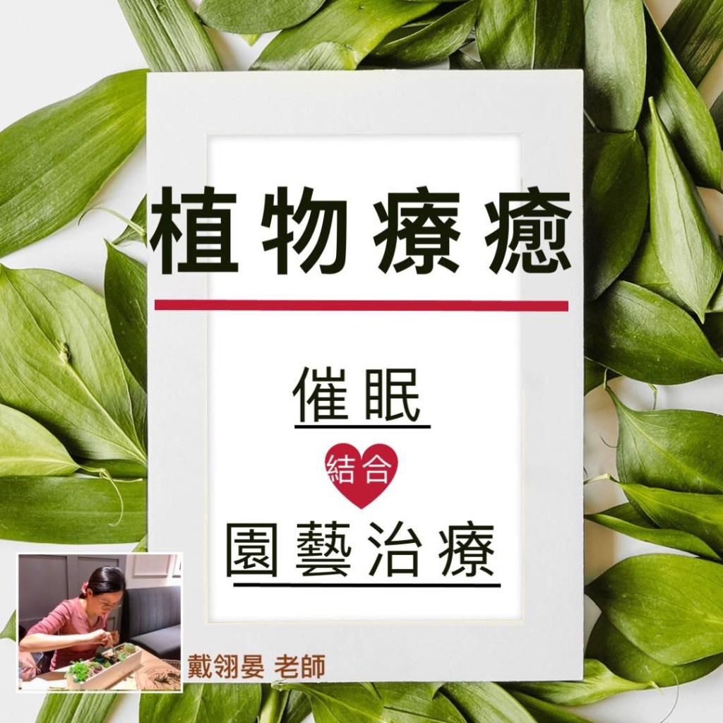 🌿植物療癒-結合園藝治療與催眠🌿