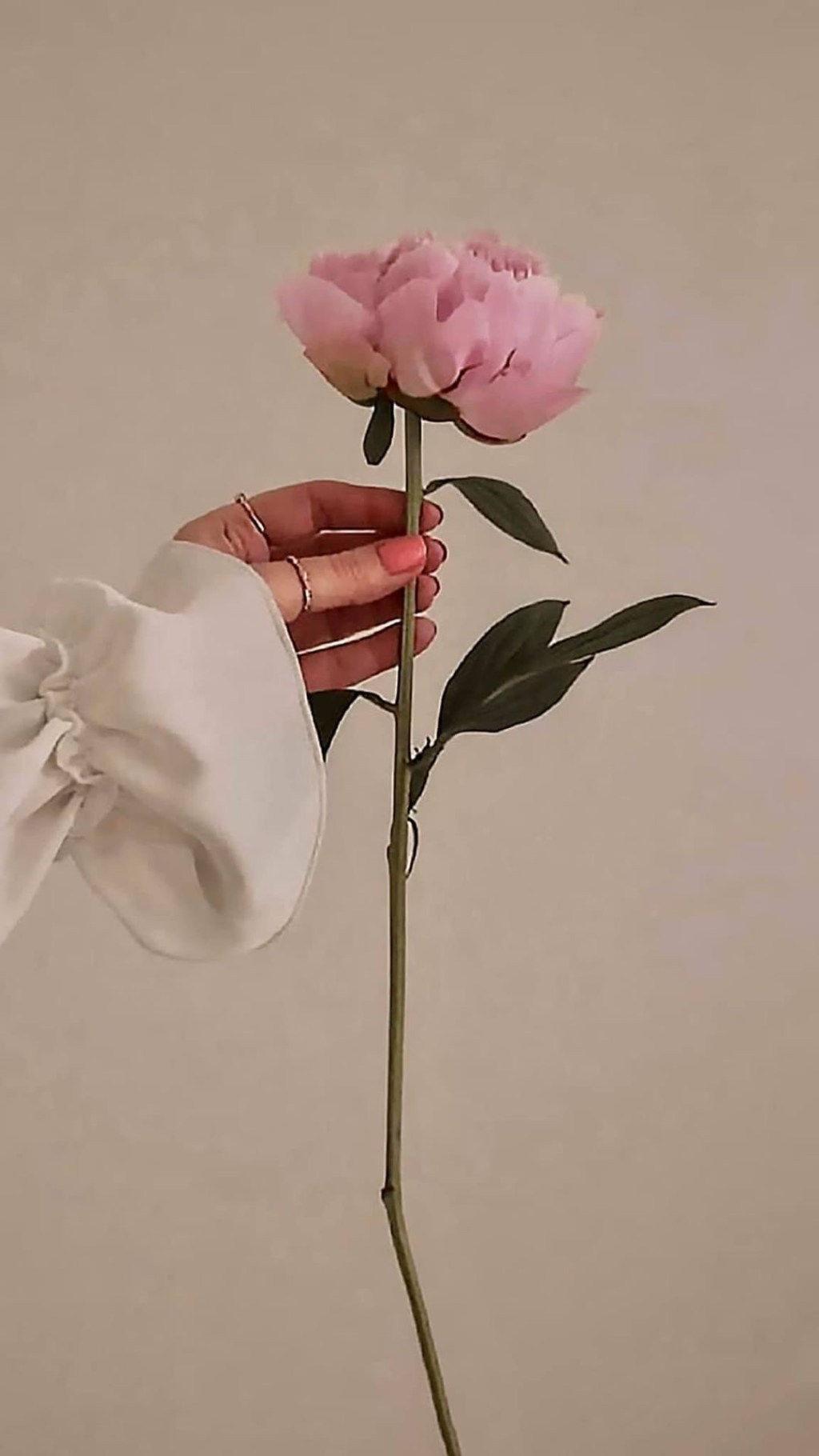 發現一個人獨特的美好🌷