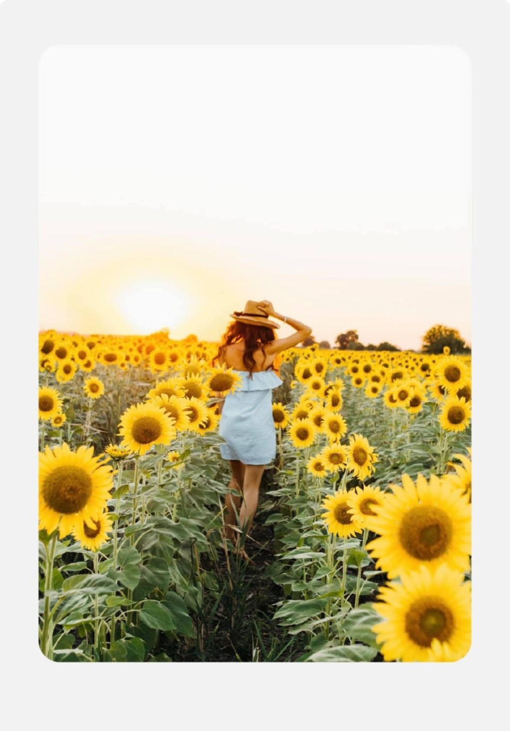 催眠可以做什麼？🌺