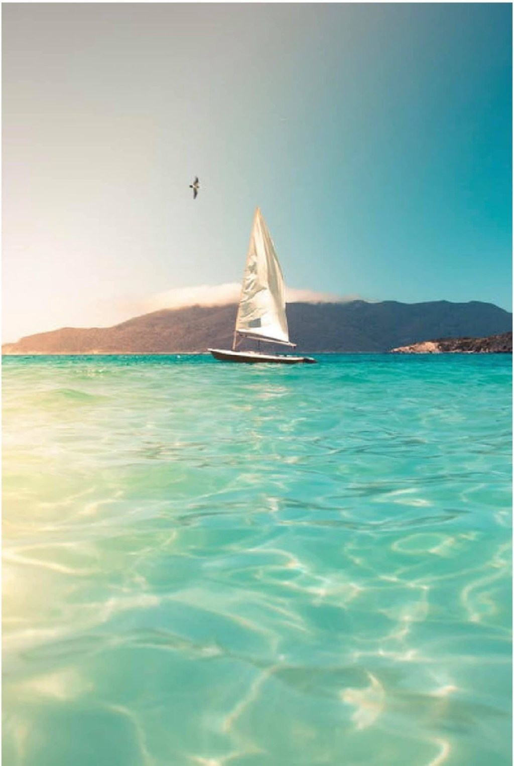 🌹一花一世界，一葉一如來