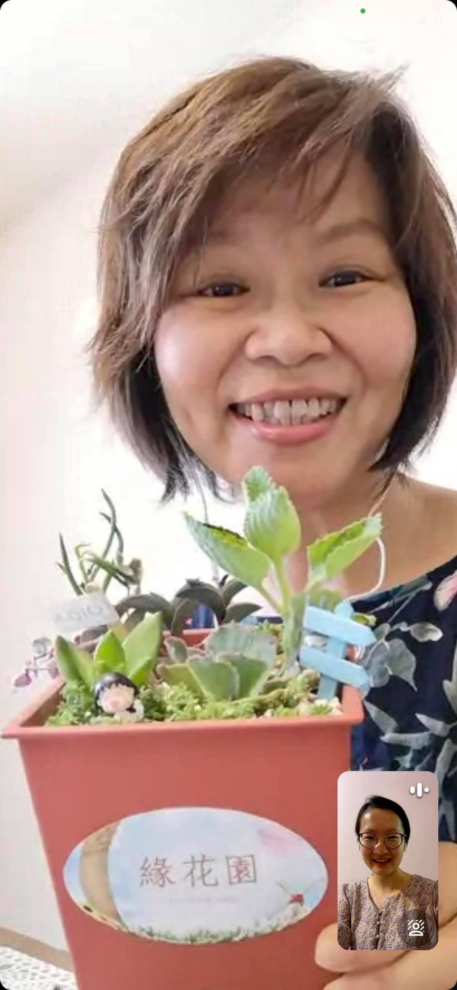 自然又強大的植物力量與潛意識✨