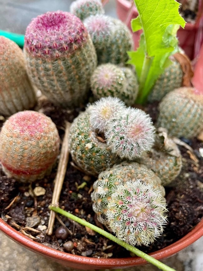 「…我覺得，你對自己好嚴格…」