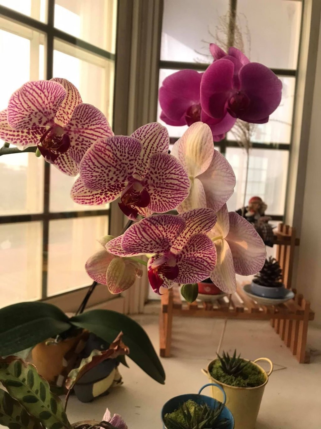 心打開了，知道下一步要前往那個方向👣