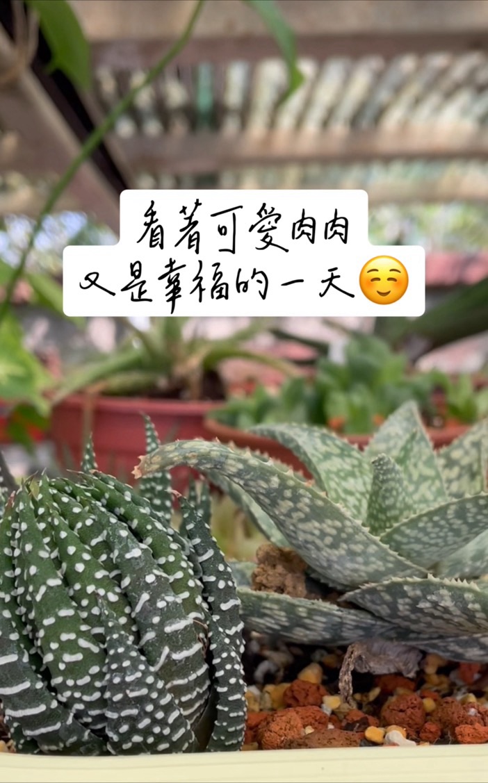 📢 溫馨提醒 |&nbsp;明天就是竹塹社大試聽課！