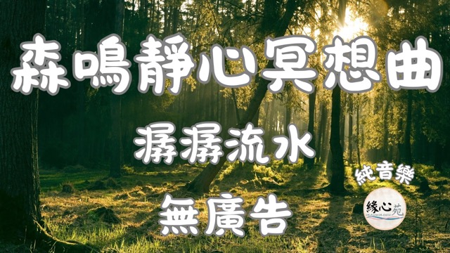 【4K】【深度冥想】【無廣告】森林鳥鳴與潺潺流水聲｜1小時純音樂靜心音樂，釋放壓力、回歸內在平靜