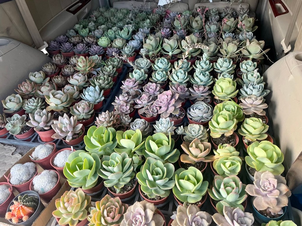 珍惜並享受每次與學員互動的機會