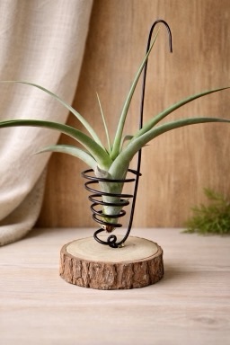 我設計了容易照顧的植物作品，卻忘了照顧不容易的自己。