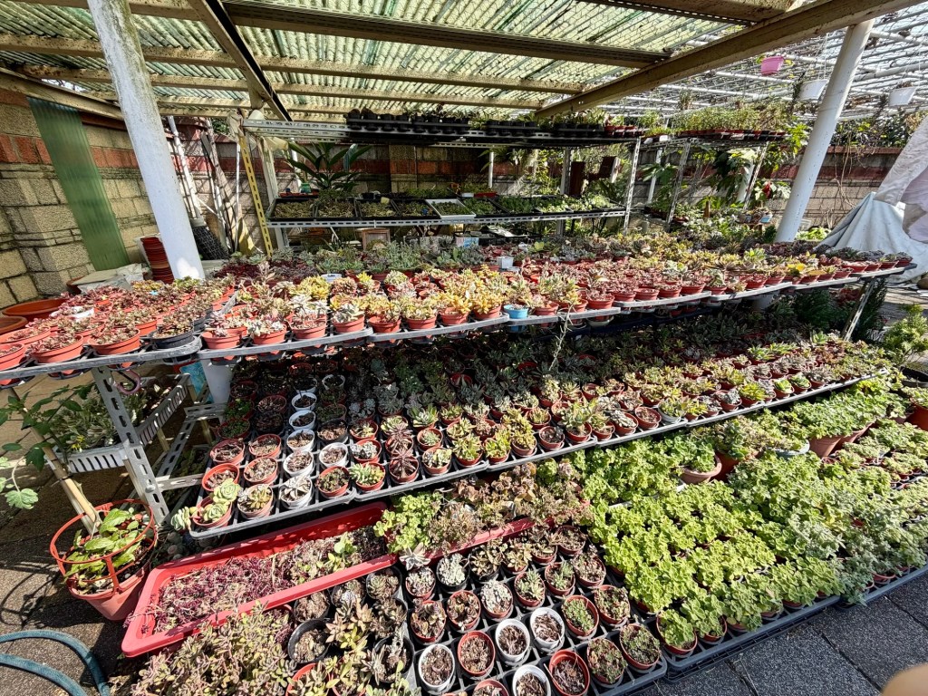 在日常裡，把該走的路走漂亮。