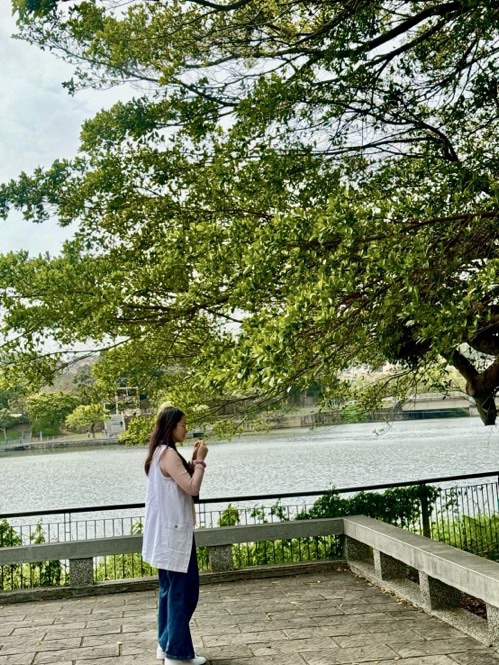 🌿 偷拍到的瞬間：我與一棵樹的相遇