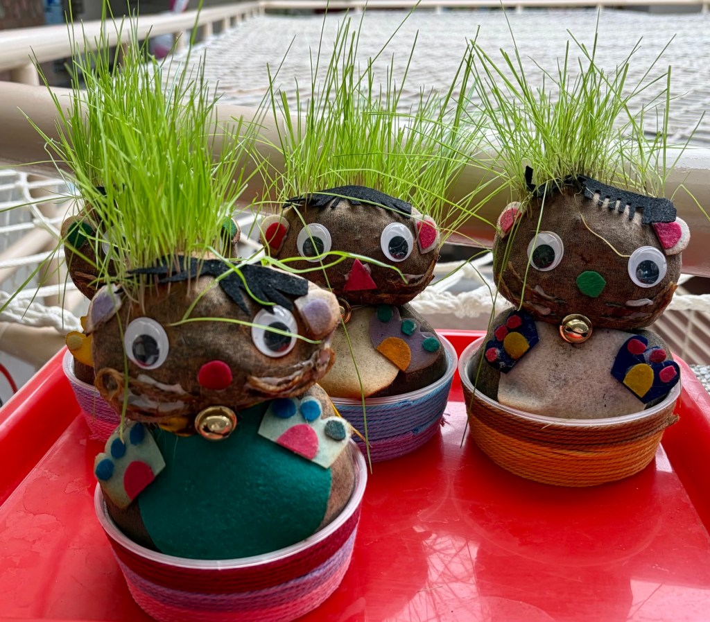 等等…長頭髮了‼️🌿🌿🌿🌿🌿