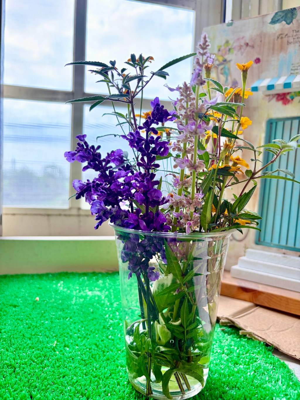 園藝治療師，也會忘了照顧自己